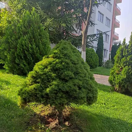 Apartamento Sea View Ravda